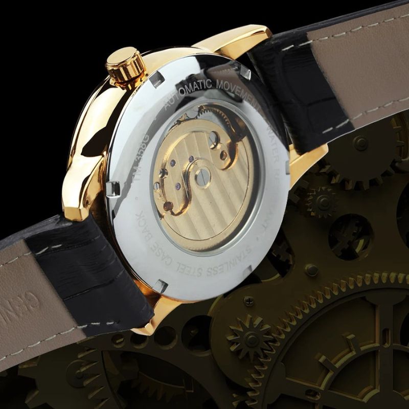 Lunaris Unveiled