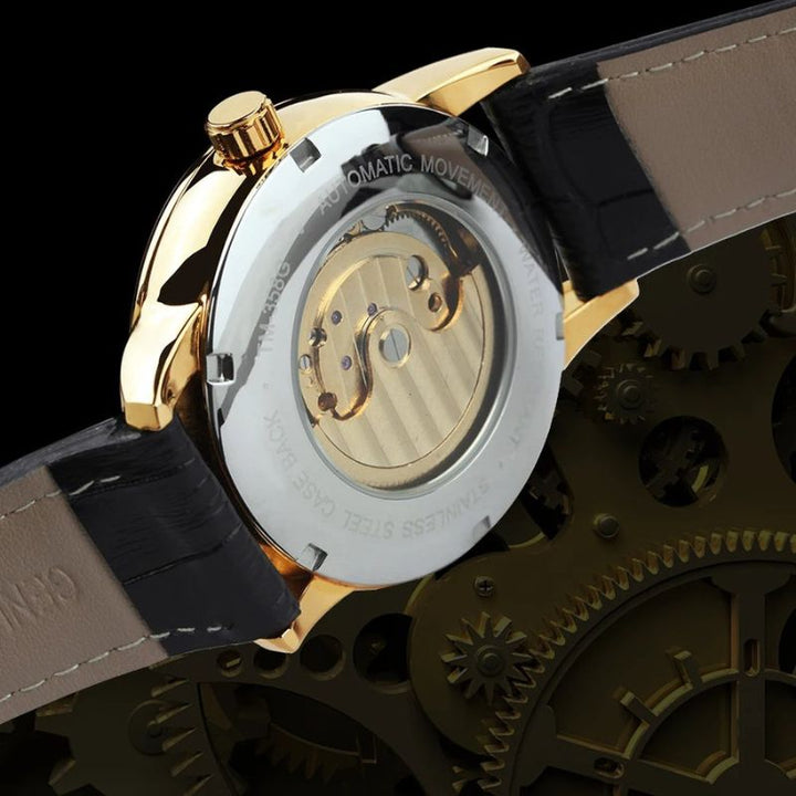 Lunaris Unveiled